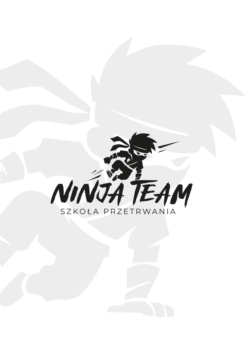 NinjaTeam logo